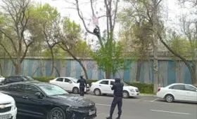 «Залезать на дерево необязательно». Верховный суд — о мужчине, недовольном решением суда