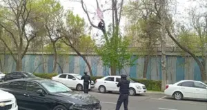 «Залезать на дерево необязательно». Верховный суд — о мужчине, недовольном решением суда