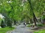 В выходные по Узбекистану ожидаются кратковременные дожди