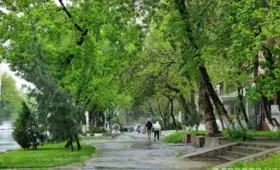 В выходные по Узбекистану ожидаются кратковременные дожди
