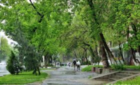 Тёплая погода в Узбекистане сменится дождями и похолоданием