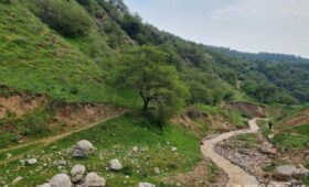 10−12 апреля в девяти регионах Узбекистана возможны селе-паводковые явления