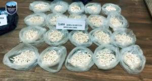 В Ташобласти ликвидировали две нарколаборатории. Видео