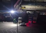 В Ташкенте завели дело на охранников рынка, умышленно наехавших на собак. Видео