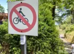В Ботаническом саду запретили езду на велосипедах и самокатах. Что об этом думают посетители и эксперты?