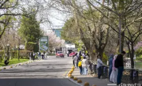 Какой была погода в Узбекистане в марте