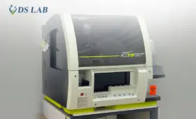 20% скидка на выездные анализы: DS Lab запускает акцию ко Дню памяти и почестей