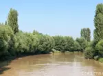 Сотрудника банка подозревают в убийстве клиента в Ферганской области