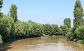 Сотрудника банка подозревают в убийстве клиента в Ферганской области