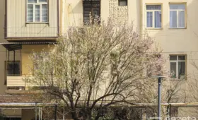 Март в фотографиях