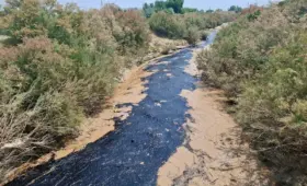 В Сурхандарье вновь произошёл разлив нефтесодержащей жидкости