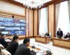 Создаётся Агентство по развитию животноводства и пастбищного хозяйства