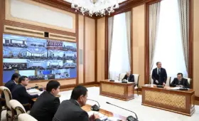 Создаётся Агентство по развитию животноводства и пастбищного хозяйства