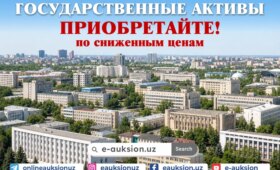 Государственное имущество по выгодным ценам можно приобрести на платформе E-auksion