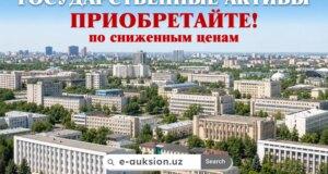 Государственное имущество по выгодным ценам можно приобрести на платформе E-auksion