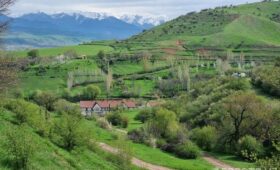 На экологически чистых территориях запретят продажу пластиковых изделий