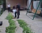 В Бухаре изъяли сотни кустов каннабиса и мака. Видео
