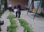В Бухаре изъяли сотни кустов каннабиса и мака. Видео