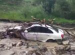 Мощный сель обрушился на Джизакскую область. Видео