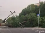 Фото: Сильный ветер повалил деревья в Ташкенте