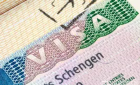 Заявлений на шенгенские визы из Узбекистана в 2025 году стало больше, многократных виз — меньше