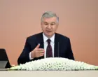 IFC предложила создать новое поколение СЭЗ в Узбекистане — президент поручил ускорить закон