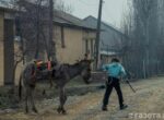 Как бедность влияет на человеческий капитал? Анализ на примере образования