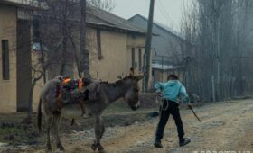 Как бедность влияет на человеческий капитал? Анализ на примере образования