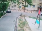 «Убивал и буду убивать». В Ташкенте наказали мужчину за наезд на кошку. Видео