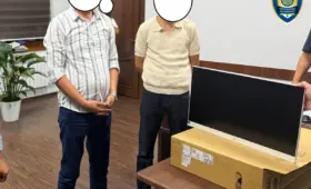 Начальник отдела экологии в Самаркандской области подозревается в получении взятки за игнорирование вырубки 150 деревьев