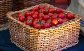 Россия ограничила ввоз продукции от пяти агроэкспортёров из Узбекистана