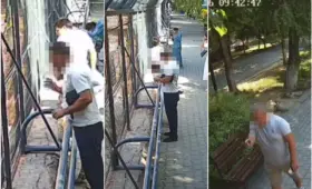 Посетитель Ташкентского зоопарка принёс извинения за провокацию белых львов