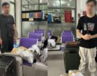 Таможня Пхукета задержала двух граждан Узбекистана с крупной партией каннабиса