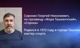 МВД сообщило о задержании в Египте «вора в законе» «Жоры Ташкентского» (+видео)