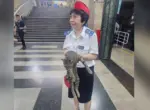 Кошка, которую достали с путей в метро, оказалась домашней