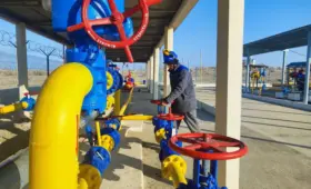 Импорт газа в Узбекистан вырос на 41%, экспорт сократился на треть