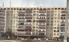 В Ташкенте оштрафовали жителя на 10,3 млн сумов за вырубку 45 деревьев