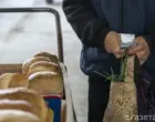 Проактивное назначение пенсий выросло до 85%, но сенаторы указали на проблемы с оцифровкой стажа