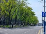 В Узбекистане приняли новый закон об автомобильных дорогах. Детали