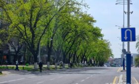 В Узбекистане приняли новый закон об автомобильных дорогах. Детали