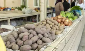 Овощи подешевели, бензин подорожал: как изменились цены на продукты и услуги в Узбекистане за июль
