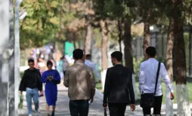 В вузах Ташкента утренние занятия будут начинаться с 8:00