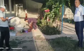Как руководители ходят по домам и учат людей «нормально» жить — продолжение