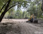 В Ботаническом саду Ташкента создаётся новый водоём (+фото)