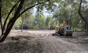 В Ботаническом саду Ташкента создаётся новый водоём (+фото)