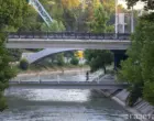 Ташкент и Самарканд присоединились к Сети зелёных городов ФАО