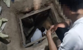 За строительство тоннелей через границу Узбекистана введут отдельную уголовную ответственность