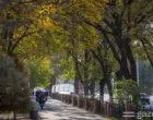 Тёплая погода сохранится в Узбекистане на текущей неделе