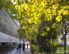 В выходные в Узбекистане будет прохладнее
