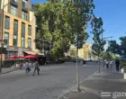 В Узбекистане начнут озеленять тротуары и махалли, зелёные зоны приблизят к местам проживания